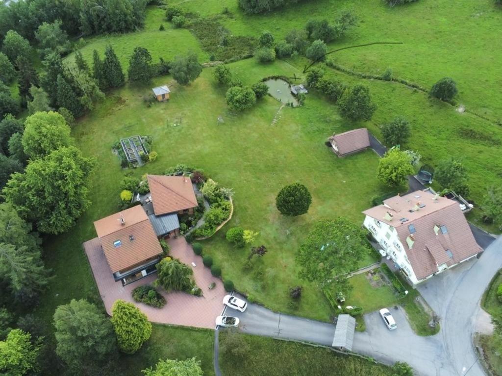 ※ Residence Pomme De Pin - Terrasse - Nature ※ Xonrupt-Longemer Bagian luar foto