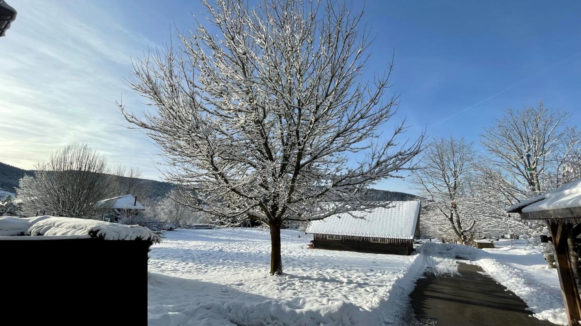 ※ Residence Pomme De Pin - Terrasse - Nature ※ Xonrupt-Longemer Bagian luar foto